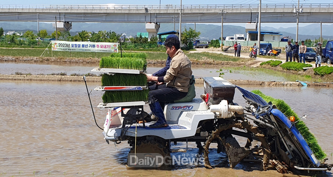 포항시, 한 해 농사 시작 알리는 ‘첫 모내기’ 실시