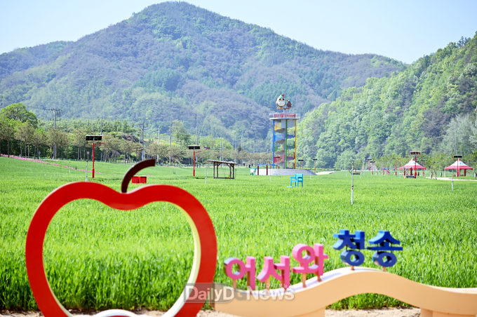 초록의 향연 ‘산소카페 청송정원’