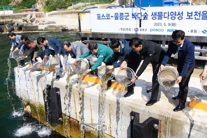 울릉군, 포스코와 바다식목일 맞이 남양리 바다숲 이관