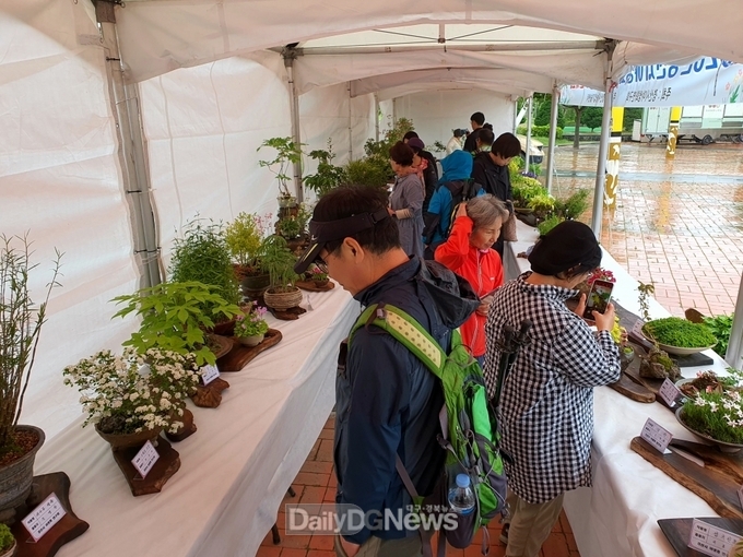 경산시, 2023년 야생화연구회 봄꽃 전시회 