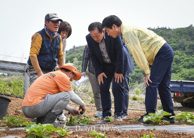 문경시, 저온피해 농장 방문 피해농가 격려