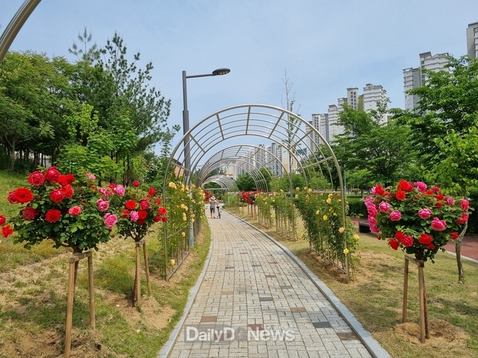“다 같이 걷자~ 장미 산책길!”