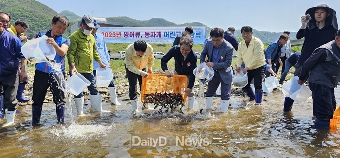 반변천 잉어류, 동자개 어린고기 1만 5천마리 방류