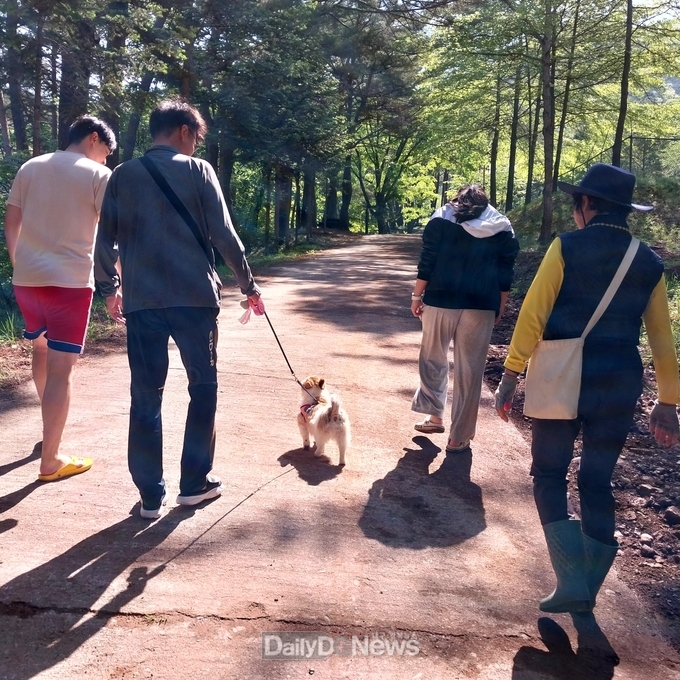 국립검마산자연휴양림, 반려견의 봄날 산책