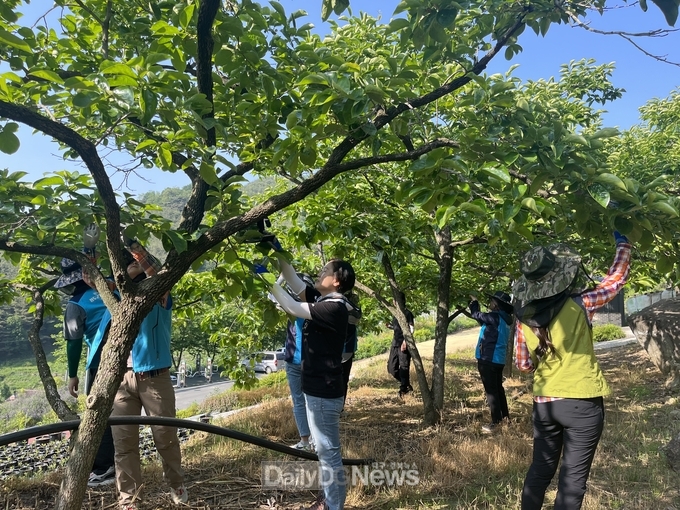 청도군, 매주 수요일‘영농현장 일제 출장의 날’운영