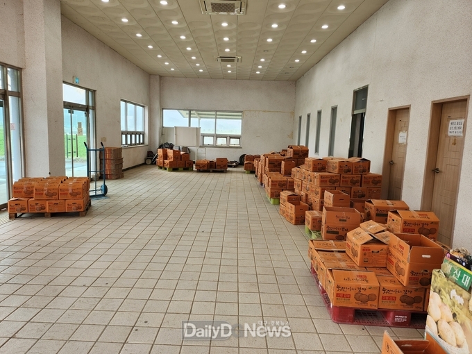 고령군, 개진감자직판장 개장!