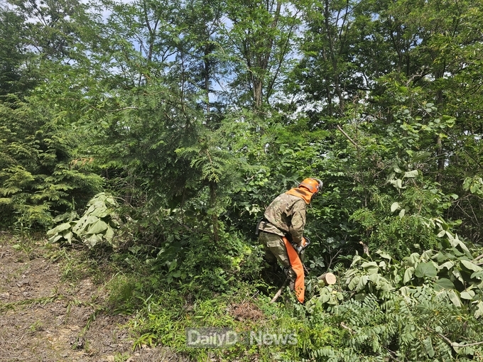 성주군, ‘산림가치 증진 어린나무가꾸기사업 추진’
