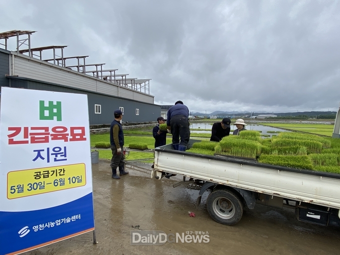육묘실패 농가에 긴급육묘 지원