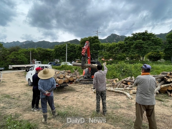 성주군, 숲가꾸기 부산물 땔감 나눔 행사