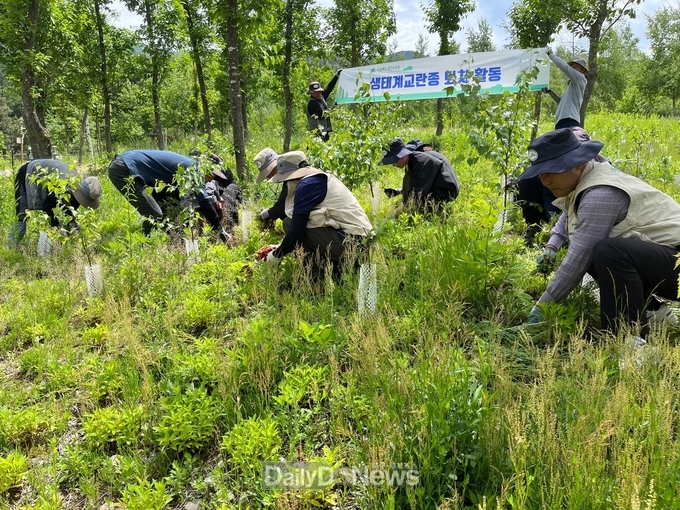 국립백두대간수목원, 생태계교란종 퇴치 활동 전개