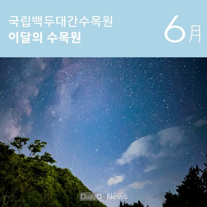 <사진=국립백두대간수목원 제공> 수련정원 야경