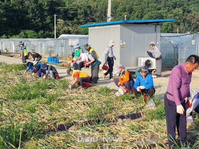 남구 시니어 근로자 영농일자리 시작