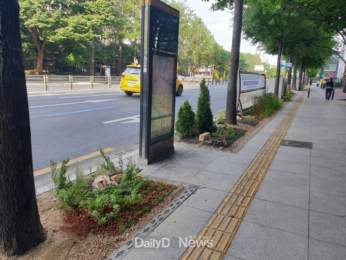 대구 중구청. 국채보상로 ‘가로수 생육환경 개선공사’ 후 모습. (사진=중구청 제공)