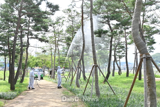 청송군, 2023년 지자체 합동평가 산림분야 우수 기초지자체 선정-산림병해충 예찰 및 방제