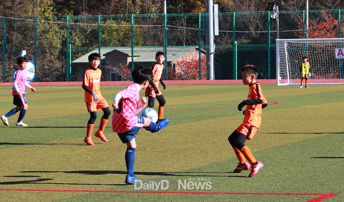 2023 울진금강송배 전국 유소년클럽 축구대회 개최