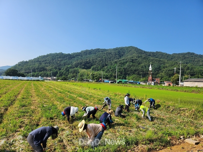 고령군 덕곡면, 농촌 일손 돕기 봉사