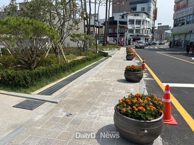 여름맞이 도로변 메리골드 식재