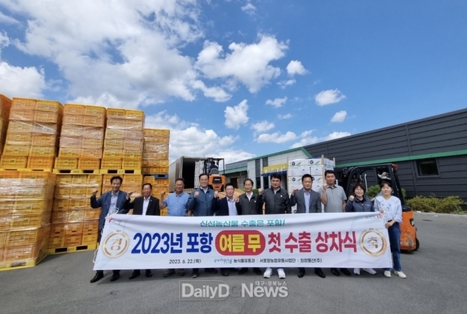 포항 여름 무, 올해도 미국 입맛 사로잡으러 본격 수출 길 올라