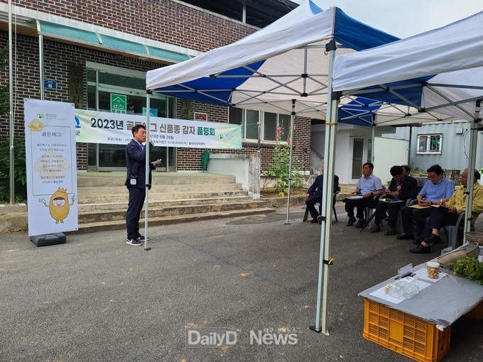 봉화군, 감자신품종‘골든에그’품평회 열어