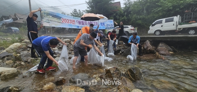  봉화군, 현동천에 토종 민물고기 복원 ‘버들치 어린고기’ 방류