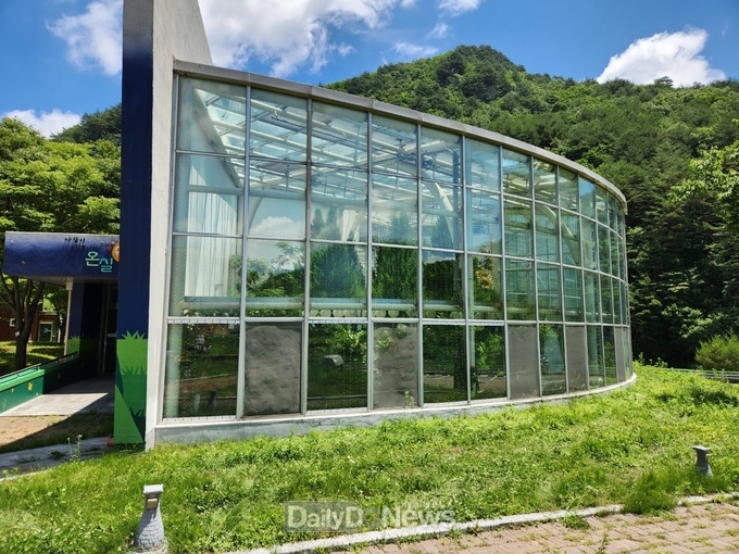 (조류충돌 방지테이프 부착 실시