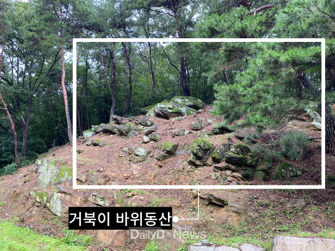 ‘38石 거북이 바위동산’