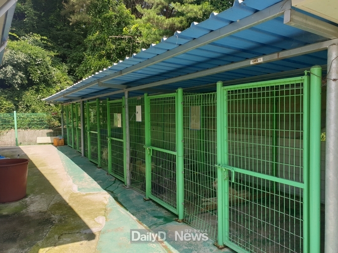봉화군, 동물보호소 고병원성조류인플루엔자(AI) 예찰검사 실시