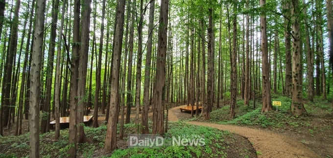 가야산오토캠핑장‧금수문화공원야영장, 관광객 맞이 준비 완료