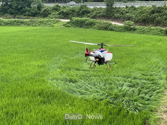 고령군, 2차 무인항공방제 실시