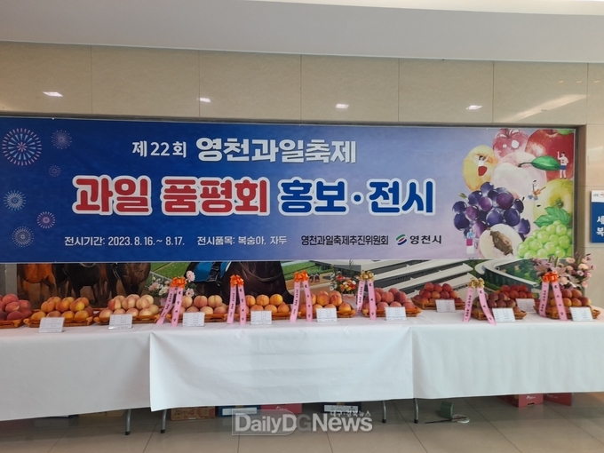 영천 복숭아‧자두! 품평회 개최, 포도‧사과는 10월 예정