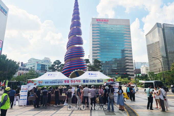 청송군, 서울 시민들 상대로 청송자두 홍보 시식행사 펼쳐