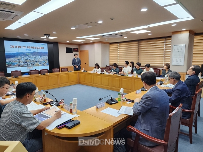 고령군, 대가야 고도(古都) 지정 중간보고회 및 전문가, 관련부서 자문회의 개최