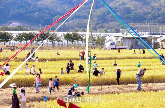 성주가야산황금들녘메뚜기축제 장면
