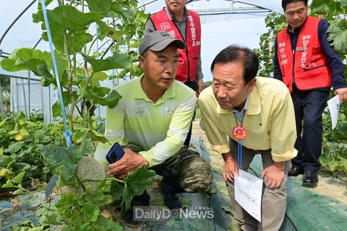 박현국 봉화군수, 멜론 재배 현장 방문