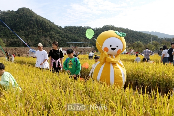 2023 성주가야산황금들녘메뚜기축제 