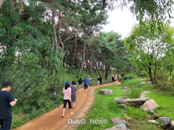 천년숲속_황톳길