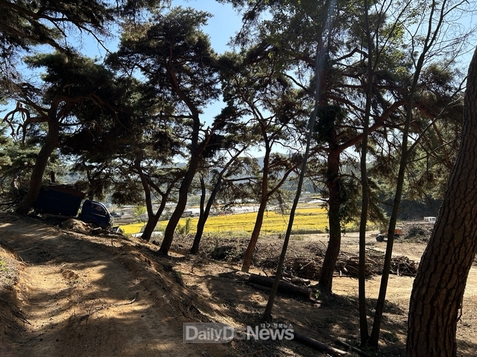 성주군 산림축산과 산불예방 숲가꾸기사업 추진