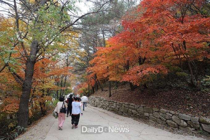 백천계곡 단풍길