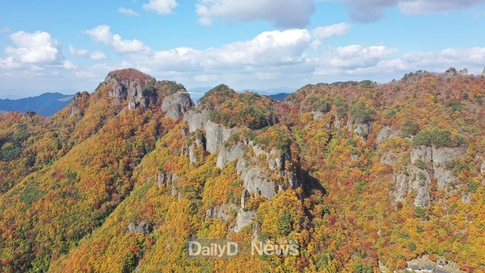 청량산 가을