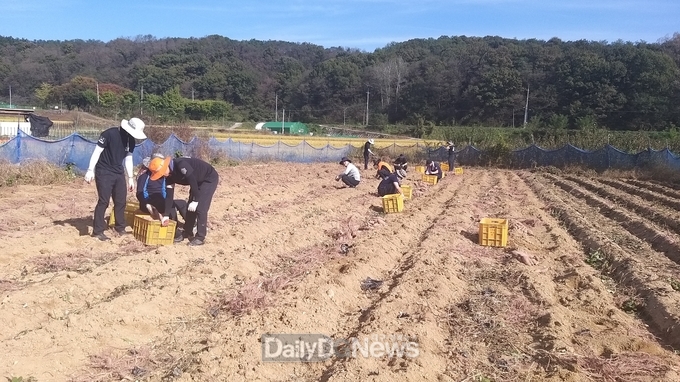 구미소방서, 농촌일손돕기 봉사활동 나서