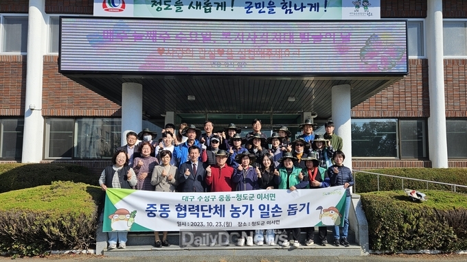 사진은 이서면 자매결연도시 대구 수성구 중동, 청도반시 수확 농촌일손돕기 동참