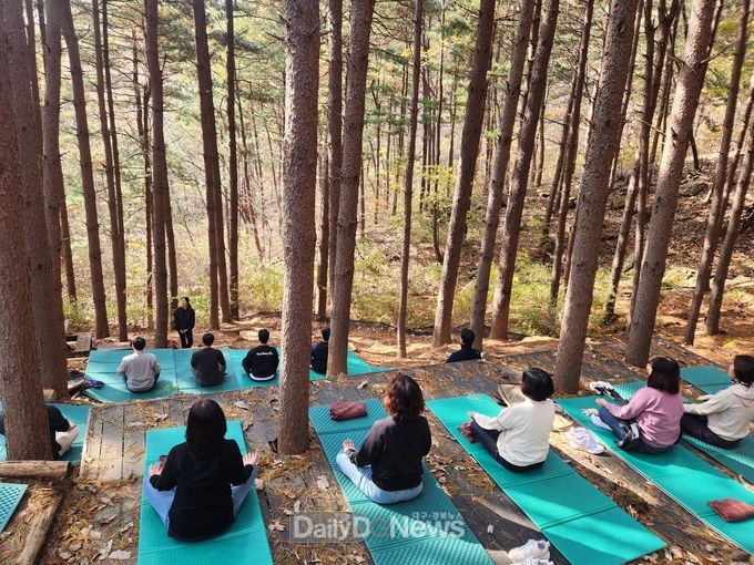 2023년 민원공무원 힐링 워크숍