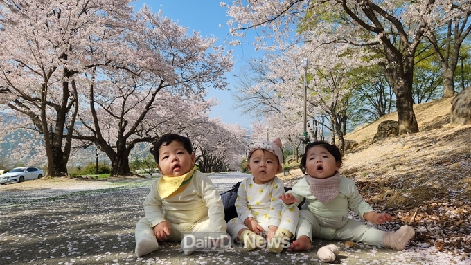 칠곡군 제공) 인구정책 사진공모전 대상작