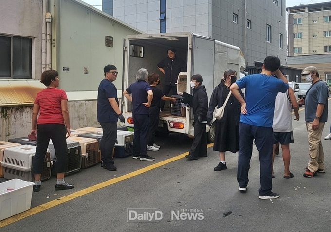 경주시 학대동물 구조하고 견주 고발