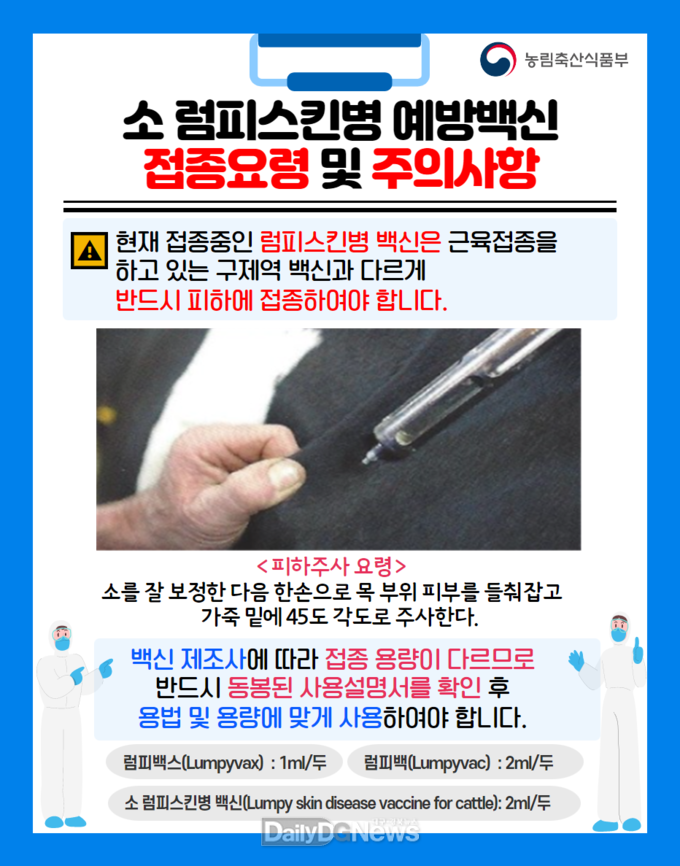 김천시, 소 사육 농가 긴급 백신접종 시작