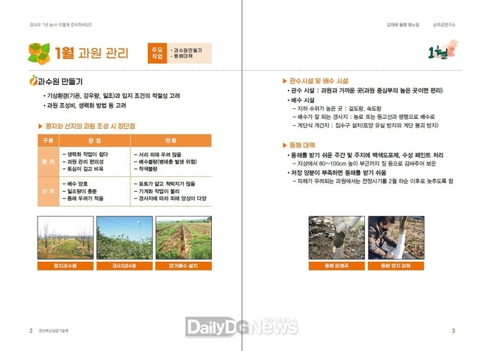 상주감연구소, 감 농사 길잡이 매뉴얼 발간해 농업인·시군센터 배부