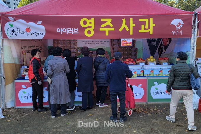 소백산 맑은 기운 담은 ‘영주사과’, 서울시청 광장에 ‘등판’