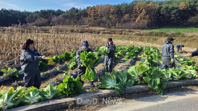 봉화군 전원생활체험 겨울편