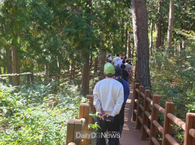 건강힐링 금연캠프 운영 산림치유프로그램 활동사진. 한국산림복지진흥원 국립청도숲체원 제공