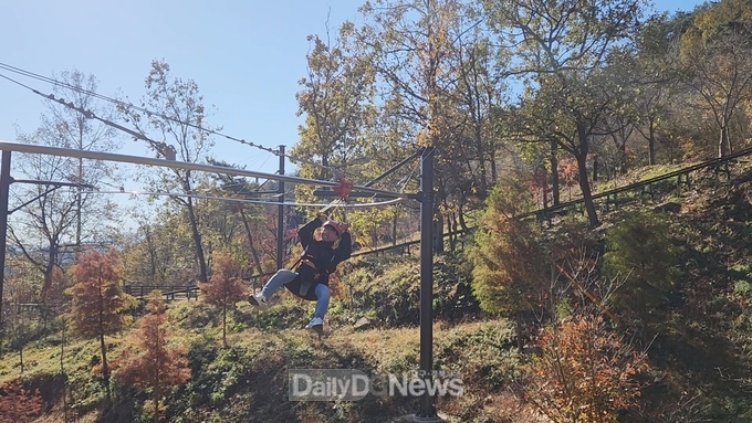 구미 에코랜드 스릴만점‘짚 코스터’운영